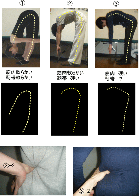 体の柔軟性