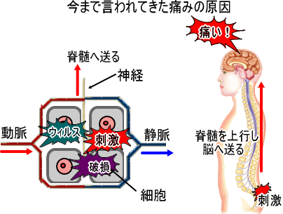 ܂ł̌Ăɂ݂̎dg