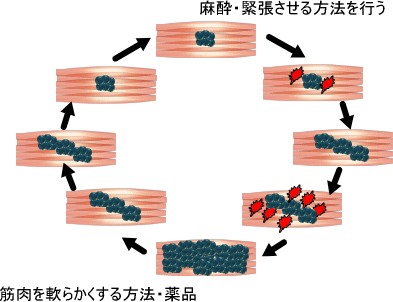 恐怖のサイクル