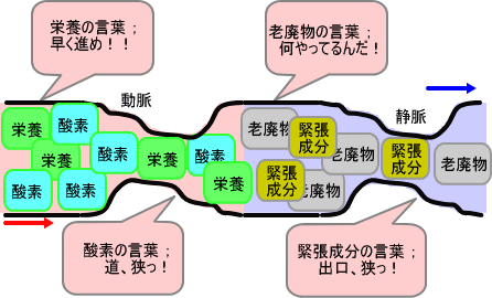 血管の圧迫による影響